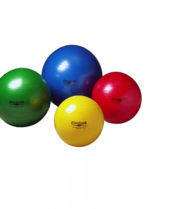 TheraBand Exercise Balls (Standard)