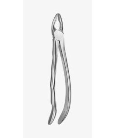 Medesy - Tooth Forceps Blade Beaks N. 1