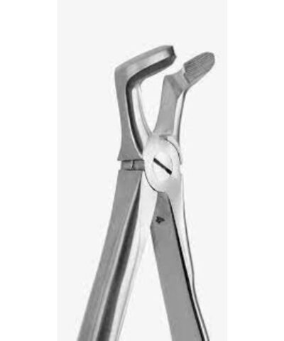 Medesy - Tooth Forceps Blade Beaks N. 7