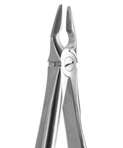 Medesy - Tooth Forceps Blade Beaks N.34-N