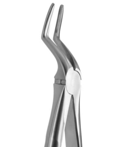 Medesy - Tooth Forceps Blade Beaks N.51-AL