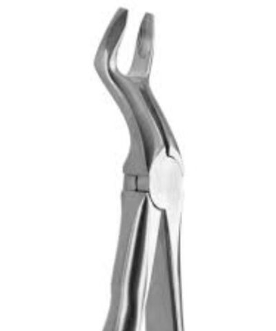 Medesy - Tooth Forceps Blade Beaks N.67-N