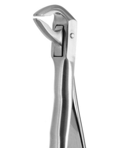 Medesy - Tooth Forceps Blade Beaks N.74