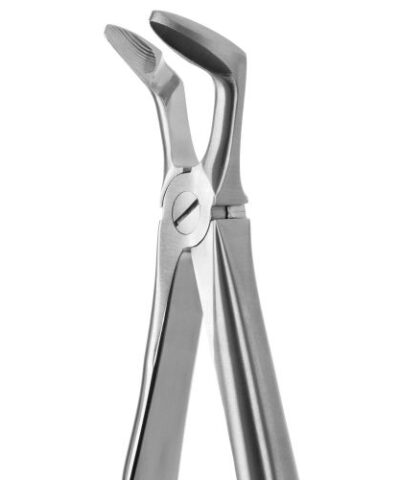 Medesy - Tooth Forceps Blade Beaks N.79-N