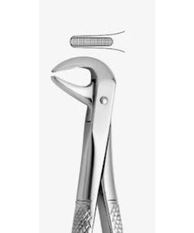 Medesy - Tooth Forceps N122