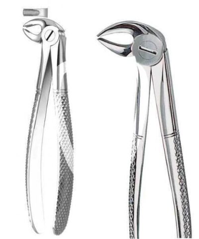 Medesy - Tooth Forceps N13