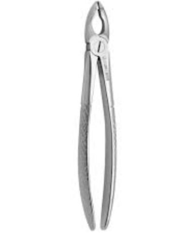 Medesy - Tooth Forceps N180