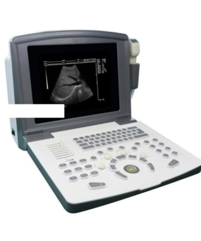 Black and white ultrasound with convex and linear probe